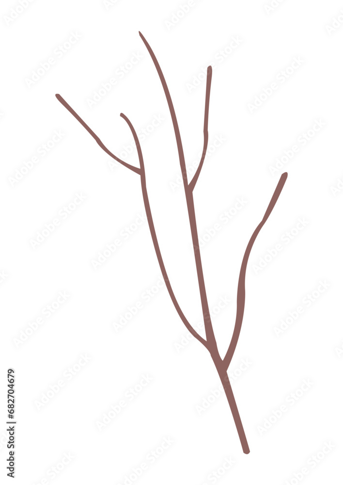 Fototapeta premium tree branch 87