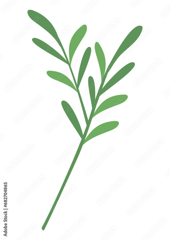 plant leaves 450