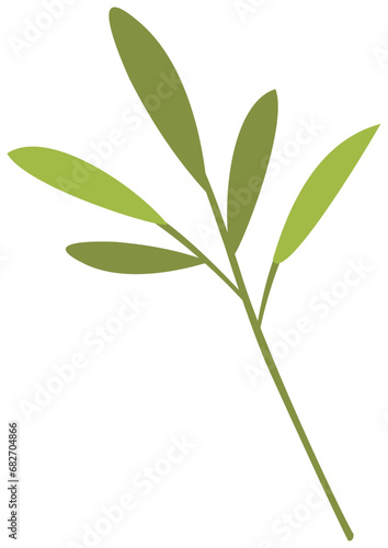 plant leaves 449
