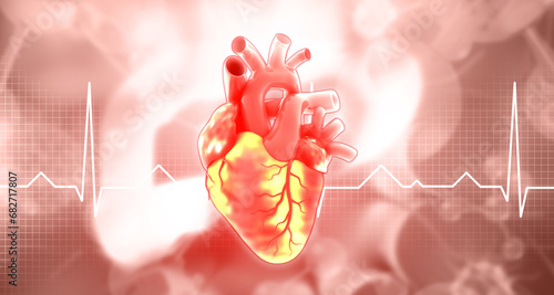 Human heart anatomy on ecg graph background. 3d illustration.. photo