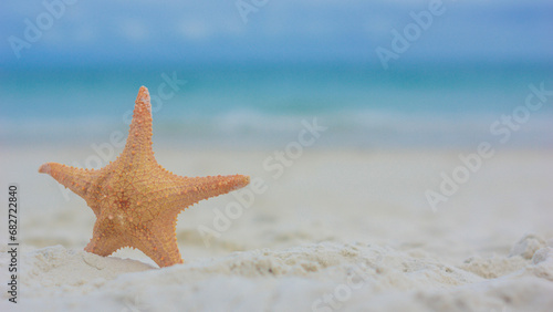 Starfishes on sandy beach.Ocean sand. Sea coast. Florida paradise. Tropical nature. Beautiful ocean sunset. Concept for travel agency.