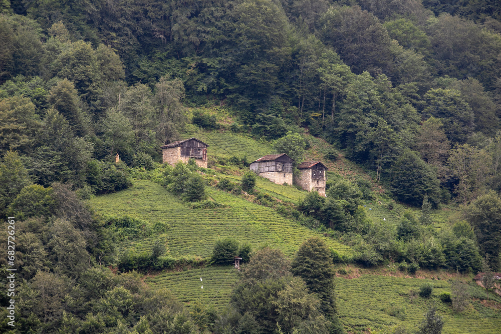 Historical village houses built on the mountain slope. Shot in Rize Turkey