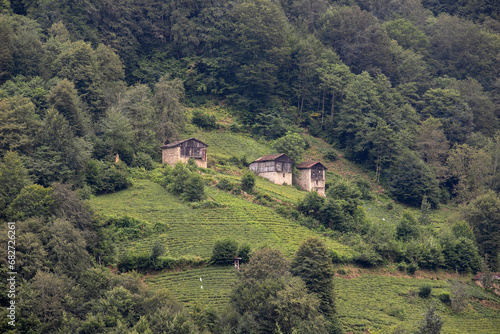 Wallpaper Mural Historical village houses built on the mountain slope. Shot in Rize Turkey Torontodigital.ca