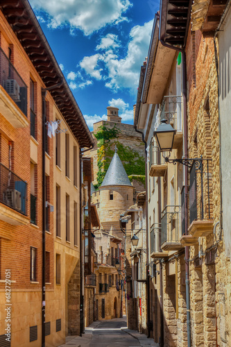 Olite is a municipality and a Spanish city in the Foral Community of Navarra. photo