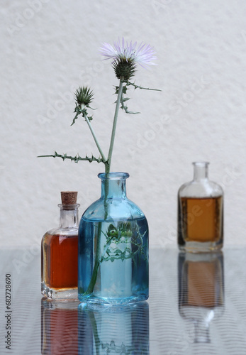Shore thistle and  aromatic oil