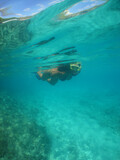 a woman snorkeling in the crystal clear waters