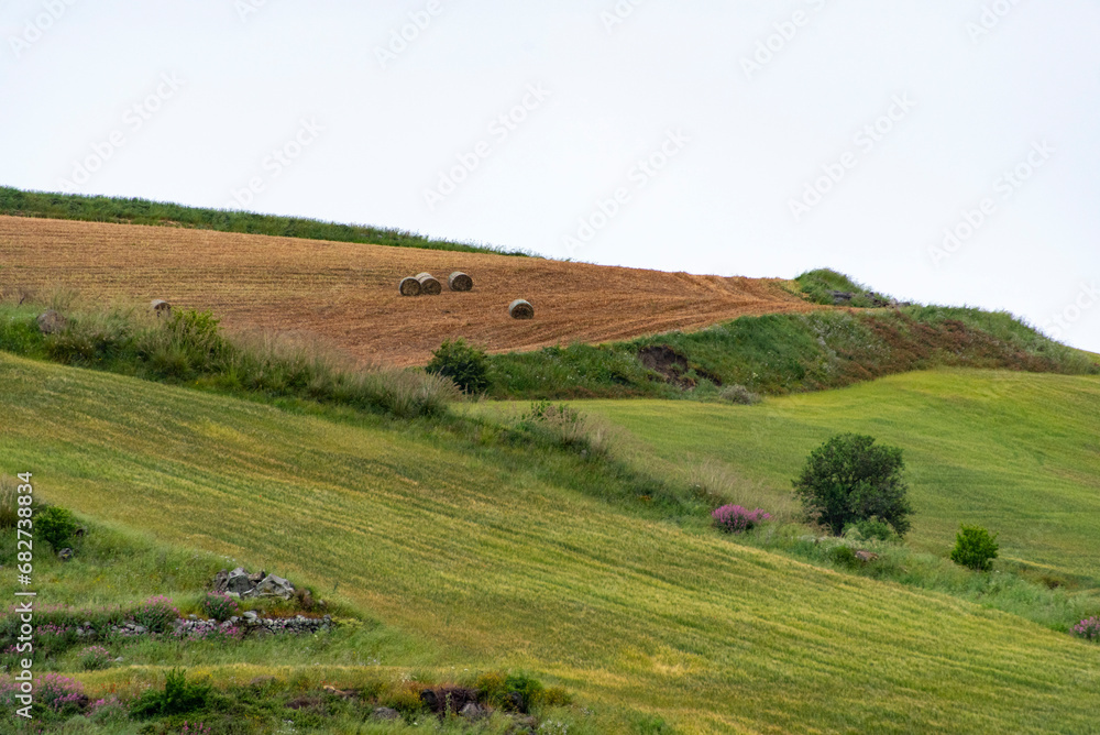 Agricultural Fields in Ragusa - Sicily - Italy