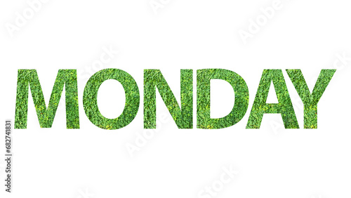 MONDAY, word or text made from green grass isolated on transparent background, PNG, suitable for template design 
