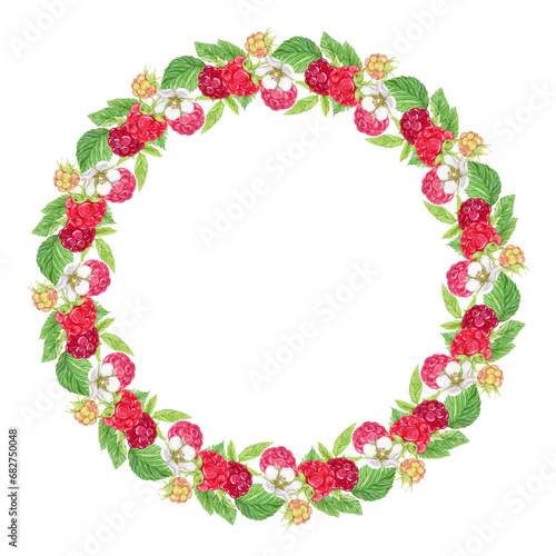 Raspberry wreath on a transparent background. Watercolor Ripe red berries, flowers, branches and leaves. Watercolor frame for the design of cards, invitations, stickers, labels.