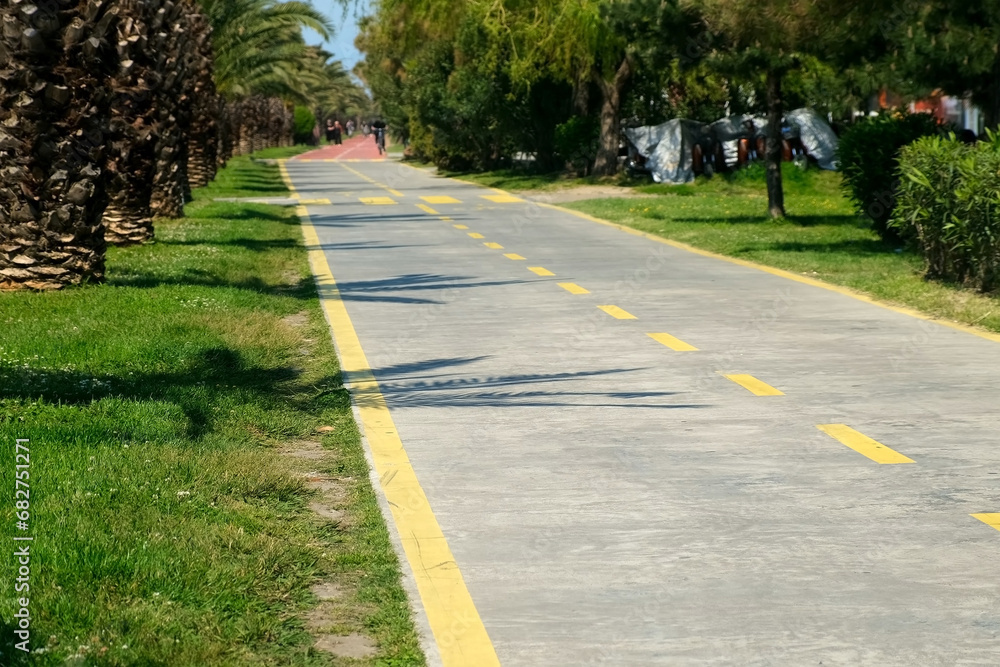 Pedestrian bike path with markings on road in city park in tropical country in sunny day. Good urban infrastructure with alley of green palm trees and grass. Citizens riding bikes and walking. Pedestrian bike path with markings on road in city park in tropical country in sunny day. Good urban infrastructure with alley of green palm trees and grass. Citizens riding bikes and walking.