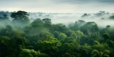  green amazonas forest with foggy weather, wide view. Generative AI