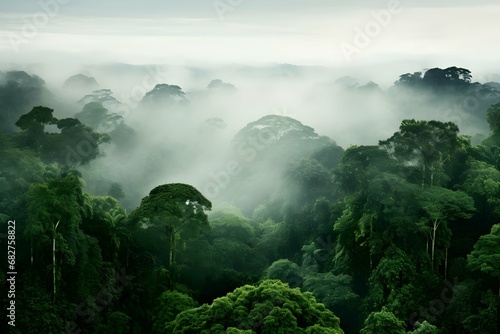  green amazonas forest with foggy weather, wide view. Generative AI © PSCL RDL