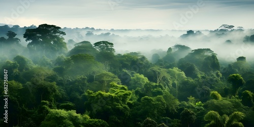  green amazonas forest with foggy weather  wide view. Generative AI