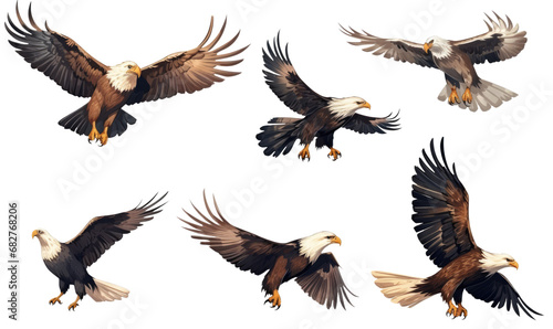set collection of eagle birds in diffrent positions and views isolated on white or transparent background png 
