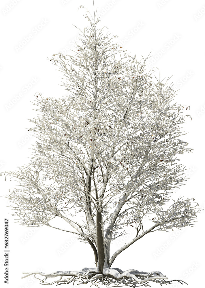 winter tree with roots snow and ice arch wiz cutout 3d render winter tree with roots snow and ice arch wiz cutout 3d render
