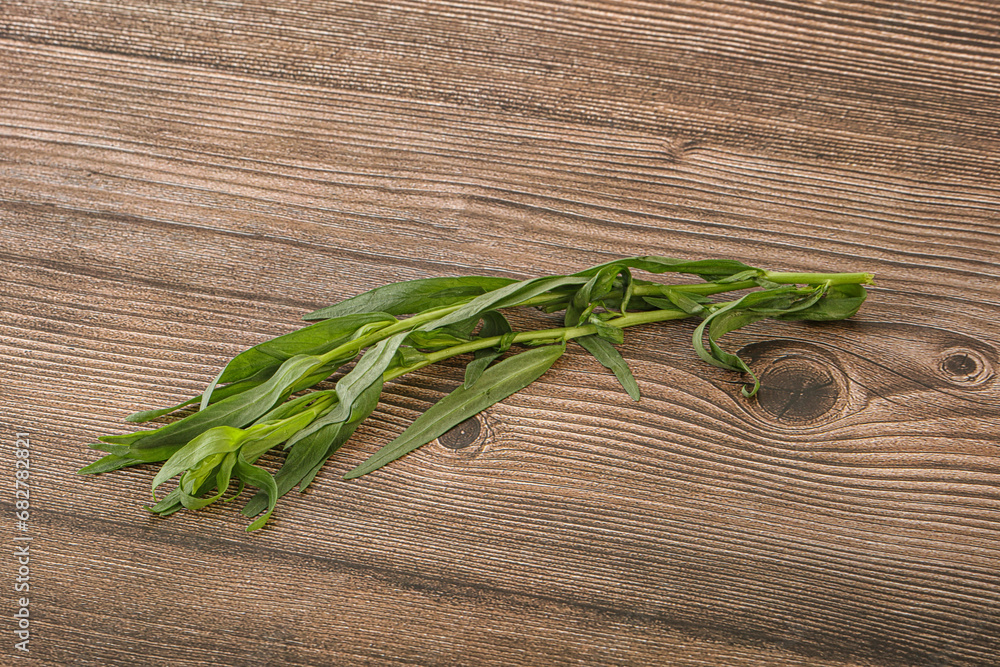 Green tarragon herb spice for cooking Green tarragon herb spice for cooking