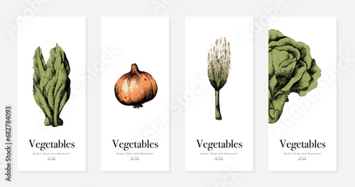 Vegetarian menu design with vegan meals. Restaurant menu