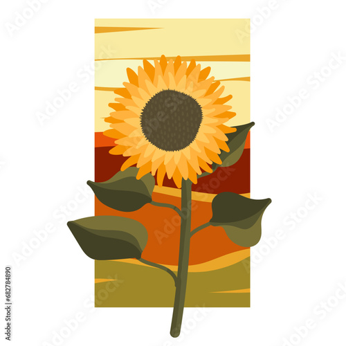 Illustration with sunflower and  bright colored rectangular background. Flat illustration with flower. Ripe sunflower with seeds, yellow petals, trunk and leaves. Isolated on white background.