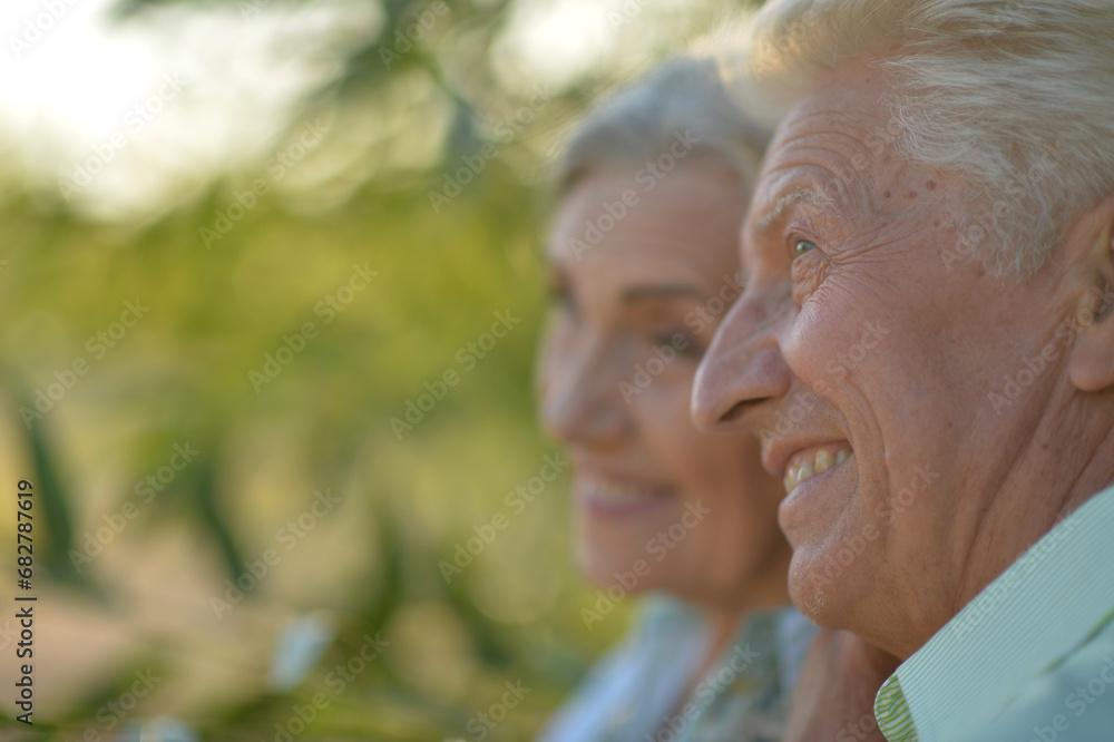 Portrait of beautiful senior couple hugging on a lilac background in the park Portrait of beautiful senior couple hugging on a lilac background in the park