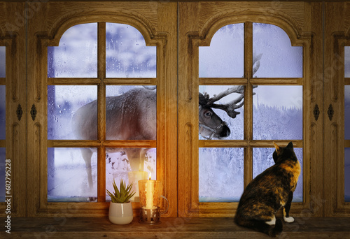 old wooden window, domestic cat looking at reindeer, candle burns on windowsill, houseplant succulent, winter landscape behind frosty glass, concept cozy home, sweet home, warm evening at home