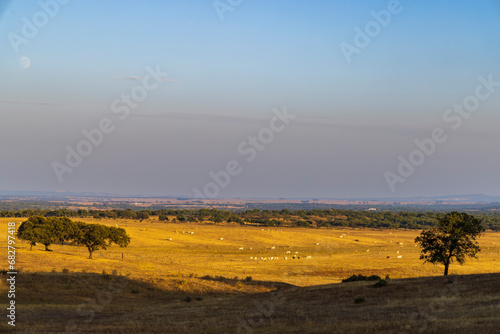 Landscape near Sao Brissos, Santiago do Escoural near Evora, Alentejo, Portugal photo