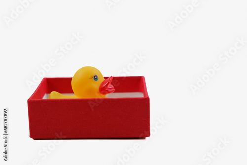 A duck toy in the box.