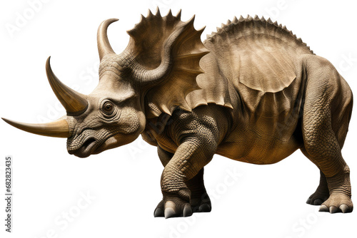 a high quality stock photograph of a single Stegosaurus full body isolated on a white background © ramses