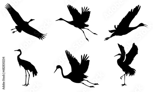crane birds silhouettes set vector illustration (black And white)