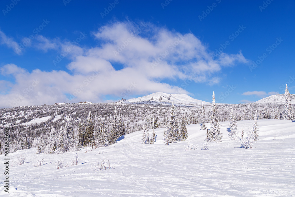 Amazing beautiful winter nature, view of ridge of rock outcrops Camels in Sheregesh ski resort, picturesque snowy panorama with hills, forest and Altai mountains covered snow, clouds blue sky Amazing beautiful winter nature, view of ridge of rock outcrops Camels in Sheregesh ski resort, picturesque snowy panorama with hills, forest and Altai mountains covered snow, clouds blue sky