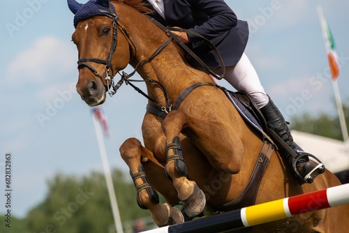Horse jumping competition themed photograph © Wirestock