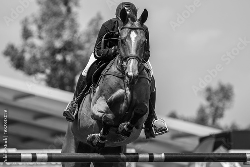 Horse jumping photograph, horse with a rider jumping over an obstacle © Wirestock