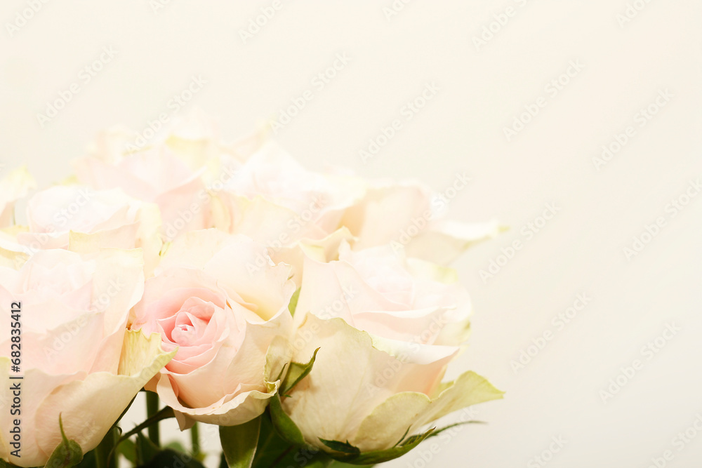 Fototapeta premium Pink roses in soft color, made with blur style for background. Greeting card. Copy space for text, top view