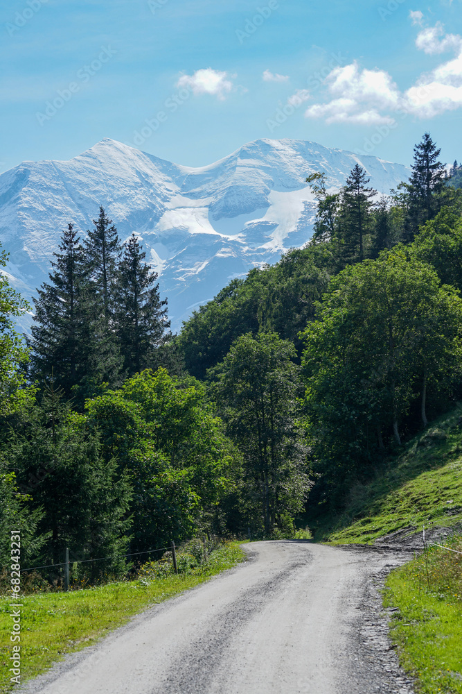 Typical austrian mountain scenery: Idyllic road Road winds between lush green hills and steep mountains in the background. Hohe Tauern Nationalpark
