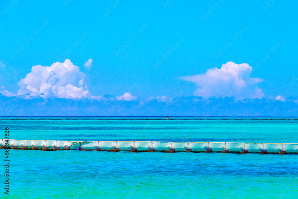 Seaweed Sargazo net caribbean beach water Playa del Carmen Mexico. Seaweed Sargazo net caribbean beach water Playa del Carmen Mexico.