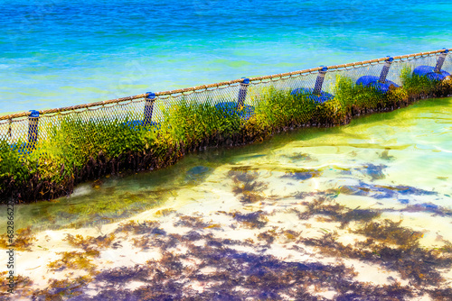 Fototapeta Naklejka Na Ścianę i Meble -  Seaweed Sargazo net caribbean beach water Playa del Carmen Mexico.