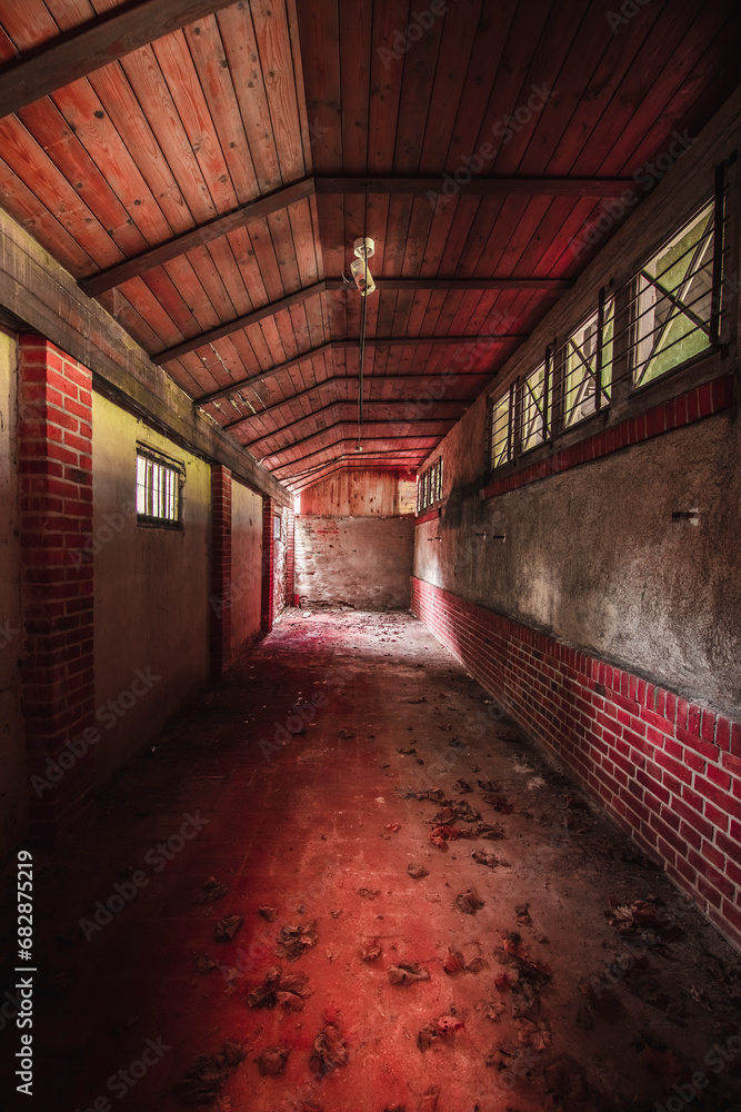 The abandoned German tuberculosis hospital The abandoned German tuberculosis hospital