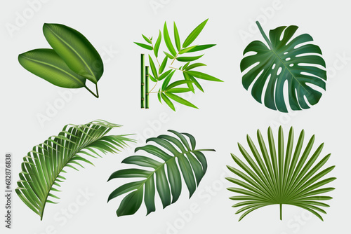 Vector realistic illustration set of tropical leaves and flowers isolated on white background. Colorful collection of plants. Botanical elements for cosmetics, spa, cosmetics © andrei
