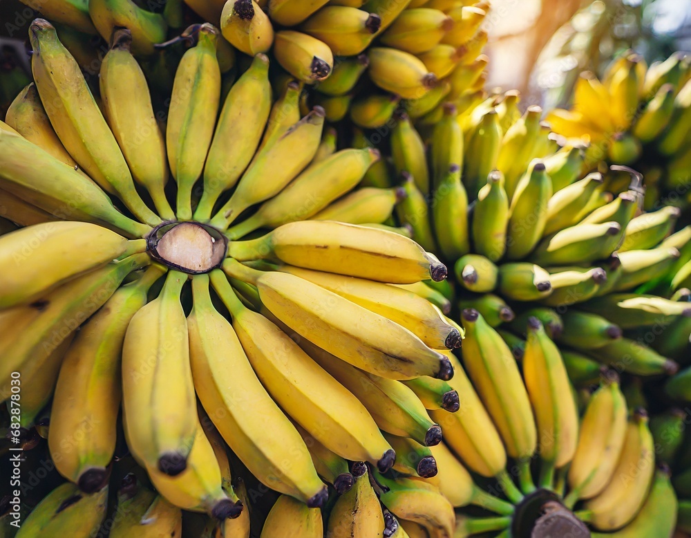 Healthy Fruit Banana