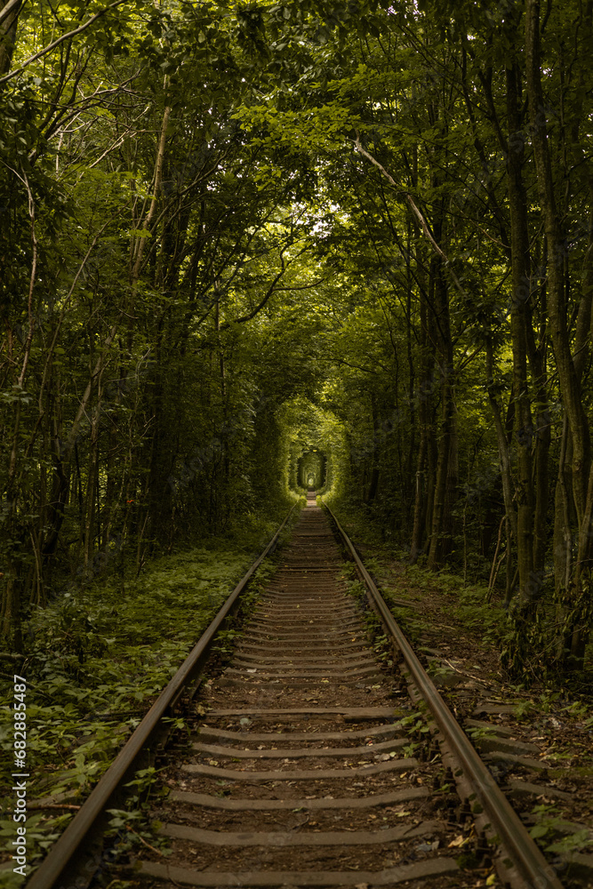 The real natural wonder - love tunnel created from trees along the railway in Ukraine, Klevan. The real natural wonder - love tunnel created from trees along the railway in Ukraine, Klevan.
