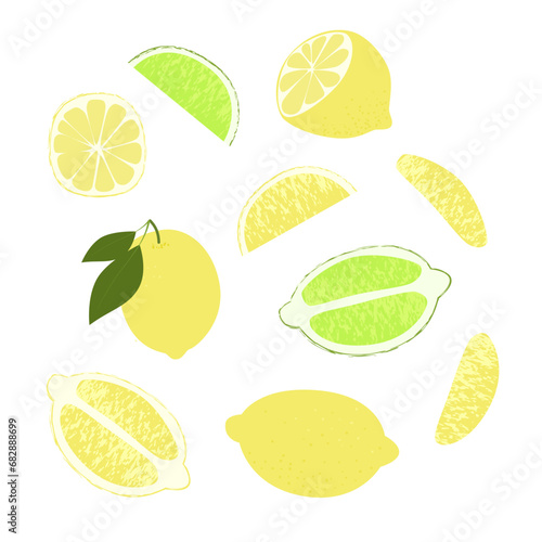 Lemon lime slice. Summer fruits textured. Hand drawn organic vector illustration