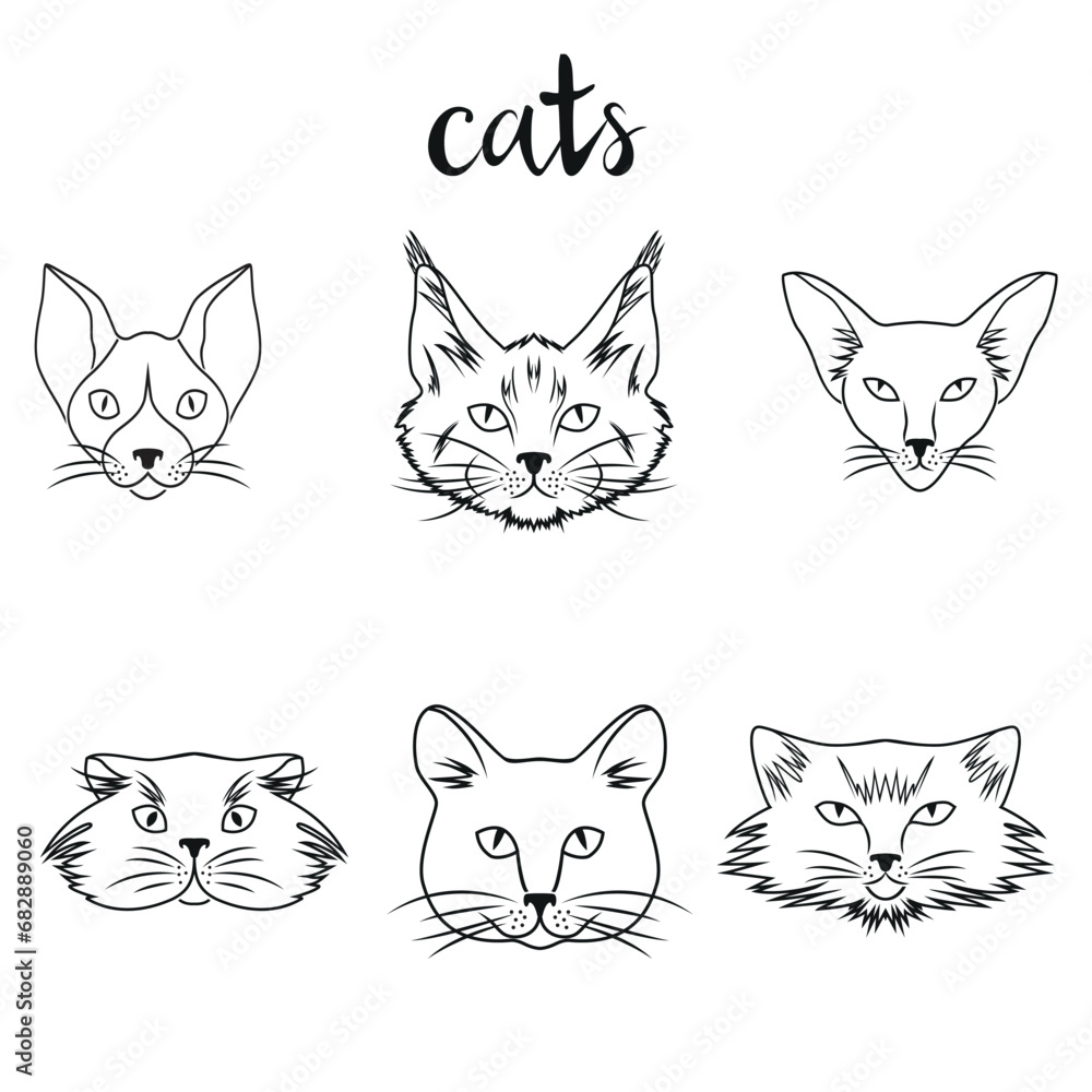 Collection of different breeds cats. Modern illustration of veterinarian clinic, logo.