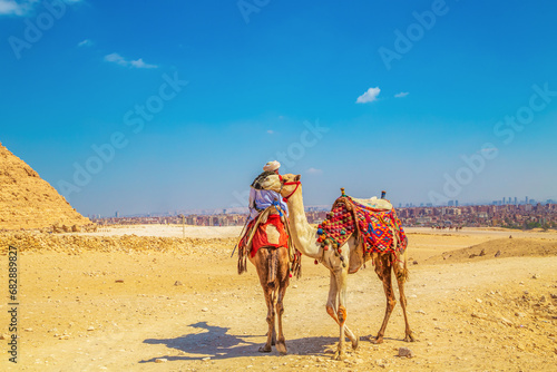 Camel driver near the Great Pyramids of Egypt. © lizavetta
