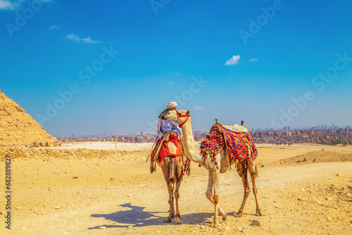 Camel driver near the Great Pyramids of Egypt.