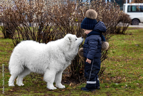 Dog and master on a walk