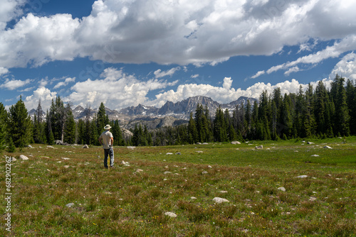 Mature Caucasian man, hiker standing in a field of green grass and wildflowers surrounded by trees watching a mountain range, Pole Creek Trail, Wind River Range, Bridger Teton National Forest, Wyoming photo
