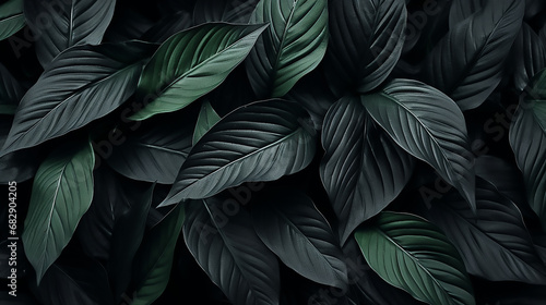 Textures of abstract black leaves for tropical leaf background © KJ Photo studio