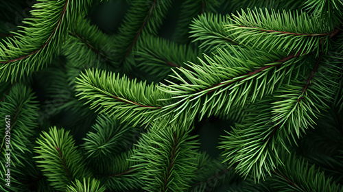 Beautiful Christmas Background with green pine tree brunch close up, trendy moody dark toned design for seasonal quotes, Background with green spruce branches closeup, Vibrant green fir tree branches © Aqsa
