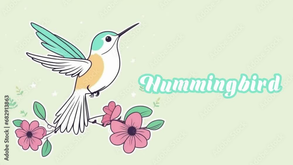 Educational animation introduction to animal names, Hummingbird animal 4k resolution. Educational animation introduction to animal names, Hummingbird animal 4k resolution.