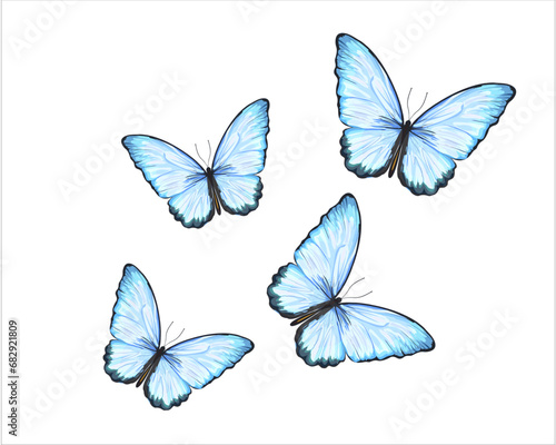 butterfly hand drawn design vector © ulucsevda