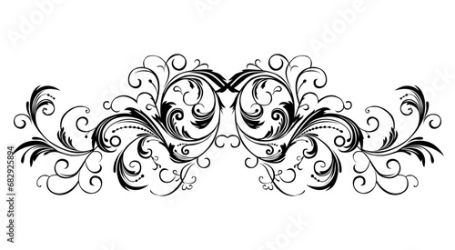 Calligraphic floral design elements and page decoration. Elements to embellish your layout
